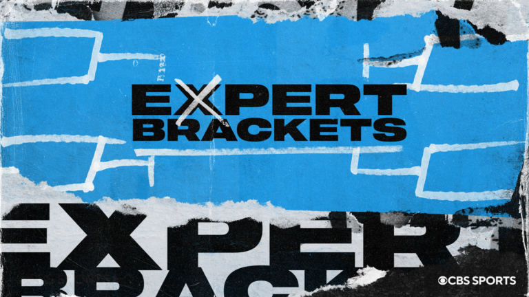 expert brackets no logos