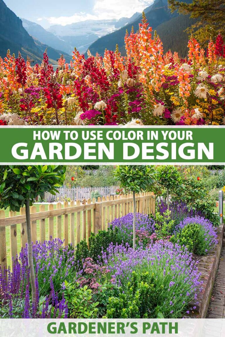 Garden Color Schemes Pin