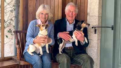 Prince Charles Duchess Camilla Relationship Timeline 0014