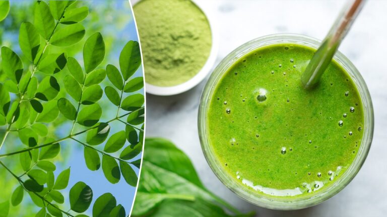 moringa plant smoothie