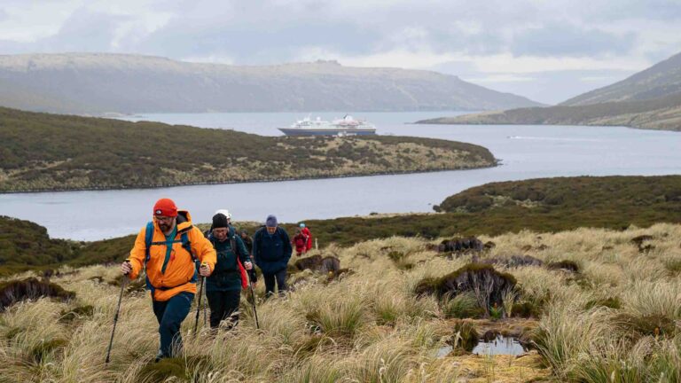 Hero New Zealand subantarctic islands HA231230 campbell fwardle4 scaled