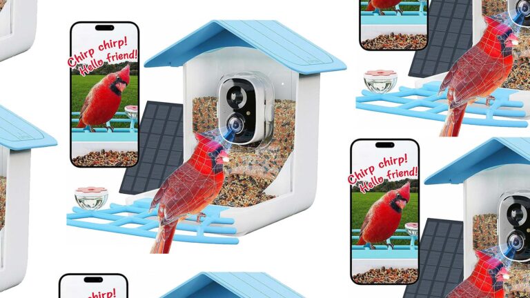 perchme bird feeder camera home