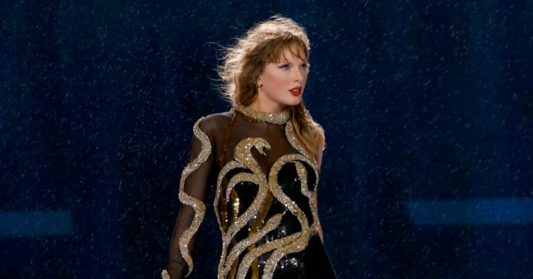 TaylorSwift ErasTour NewReputationOutfitjpg