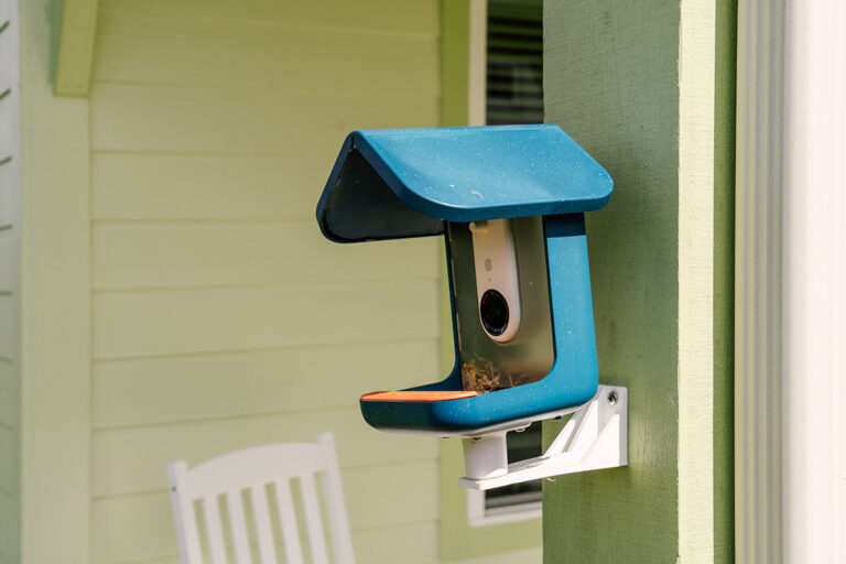 bird buddy smart bird feeder camera01