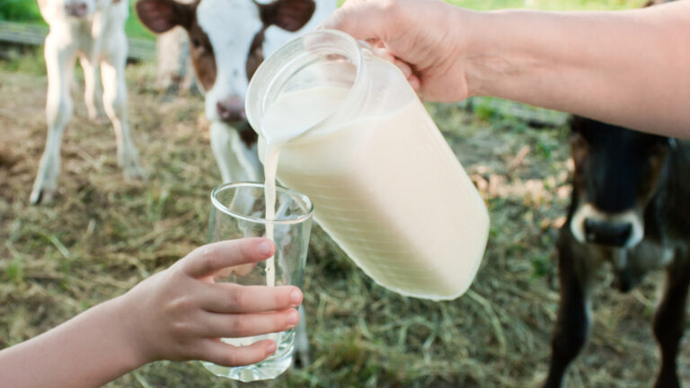 raw milk