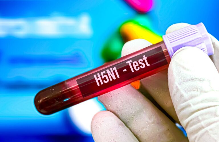 h5n1 test 1