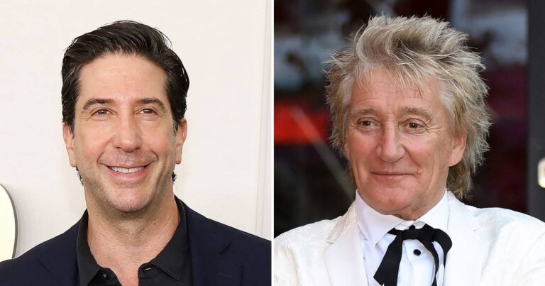 David Schwimmer Served Rod Stewart Divorce Papers