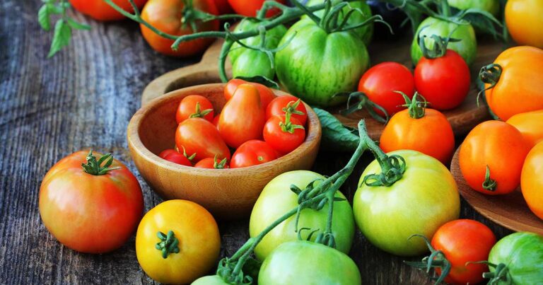 Start Tomatoes from Seed FB