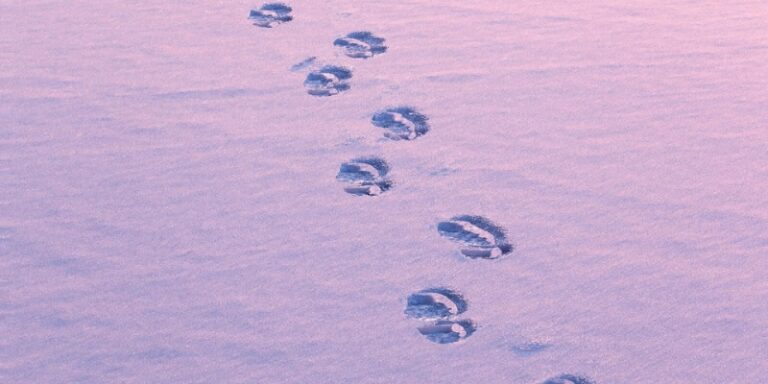 Footprints in snow watercolorized design