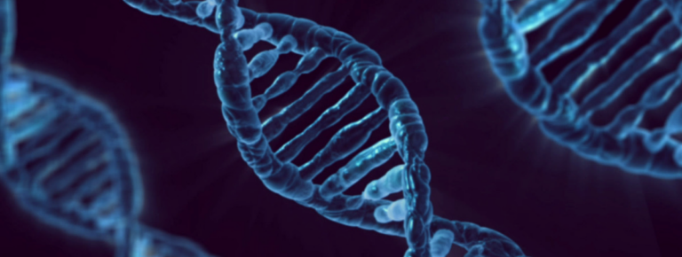 dna edit