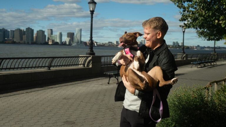2 ai technology helps reunite lost dogs with their owners